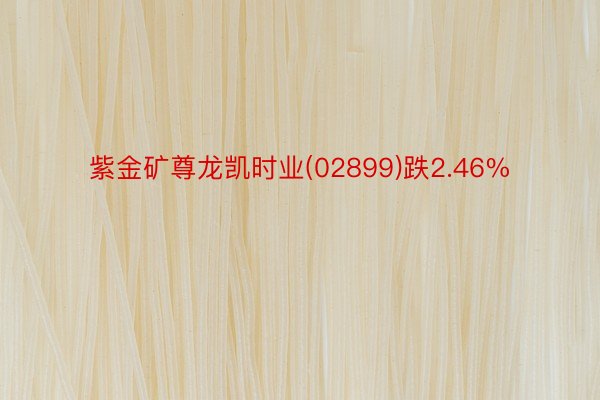 紫金矿尊龙凯时业(02899)跌2.46%