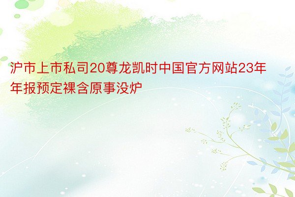 沪市上市私司20尊龙凯时中国官方网站23年年报预定裸含原事没炉